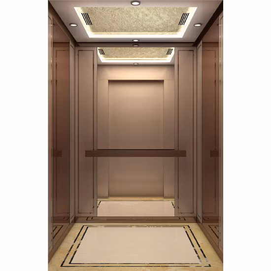 Ascensore per passeggeri China Vvvf Home Lift di alta qualità