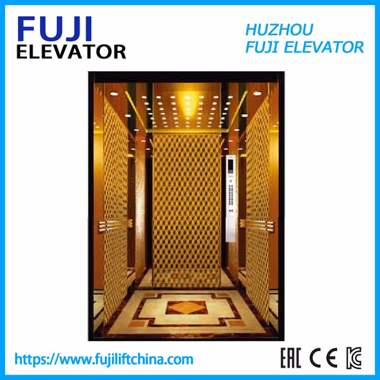 Ascensore residenziale per l'osservazione panoramica del carico della casa passeggeri FUJI nella fabbrica cinese